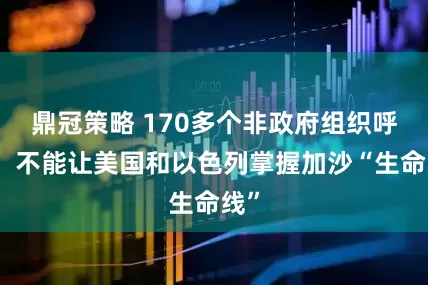 鼎冠策略 170多个非政府组织呼吁：不能让美国和以色列掌握加沙“生命线”