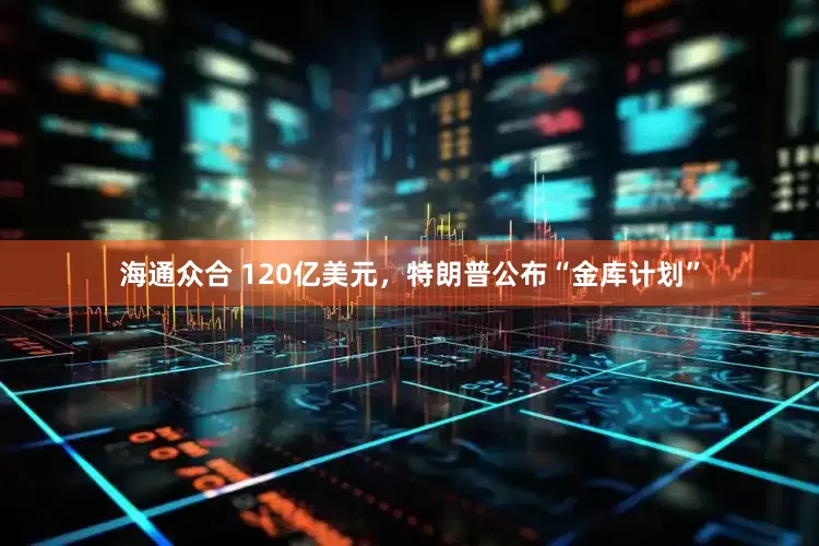 海通众合 120亿美元，特朗普公布“金库计划”