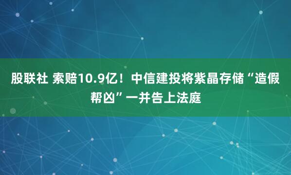 股联社 索赔10.9亿！中信建投将紫晶存储“造假帮凶”一并告上法庭